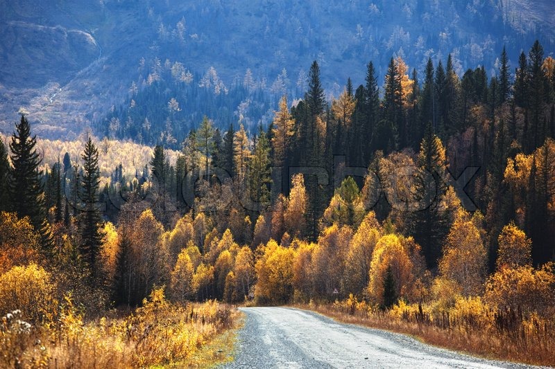 Driving in a sunny October day in Kazakhstan.